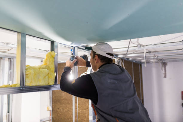 Best Specialized Insulation Services in Brooklyn, WI