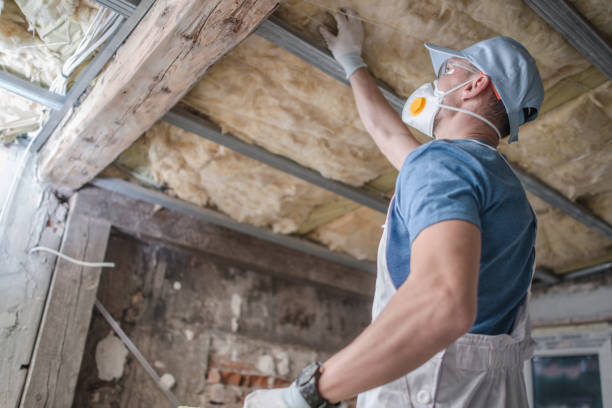 Best DIY Insulation Kits and Guidance in Brooklyn, WI